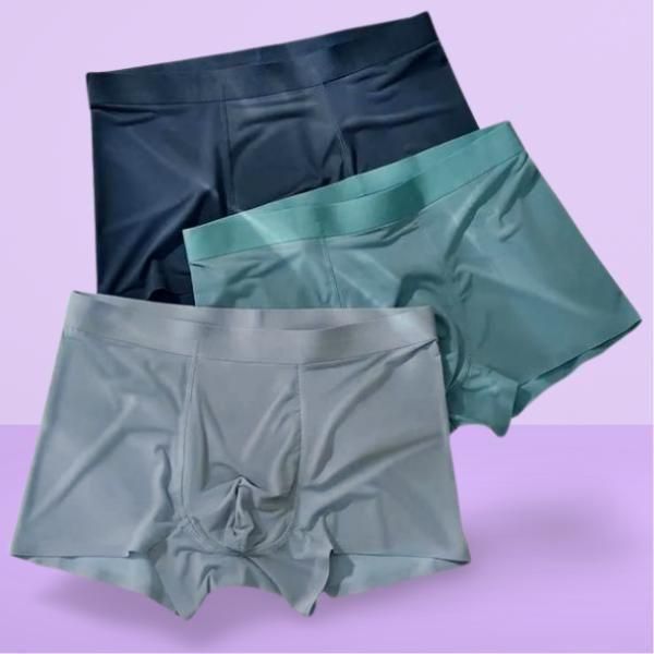 3 Pack Men's Ice Silk Briefs - Cool Comfort Underwear - Eazylife India